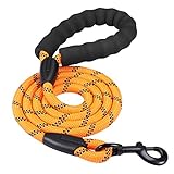 Hi Kiss strong dog leash in orange