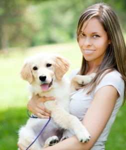 finding your puppy - are you ready for a dog
