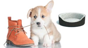 best dog bed for chewers