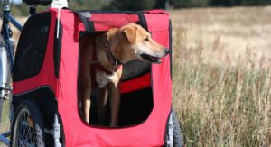 Best dog bike trailers