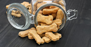 dog food container