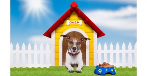dog house heater