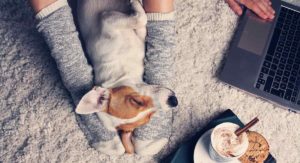 dog names that start with a