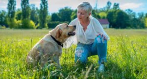 best dog for seniors