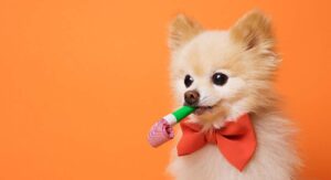 funny dog quotes