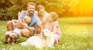 good family dogs