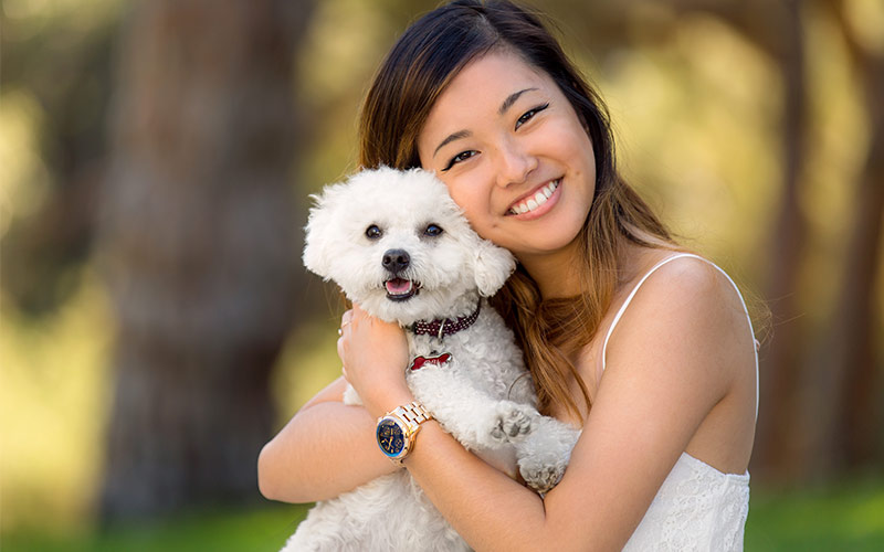 maltipoo
