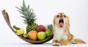 can dogs eat pineapple