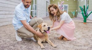 what is fostering a dog
