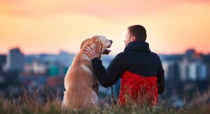 why are dogs so loyal